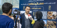 هماتیت-گاما-قیمت-کمتر-کیفیت-بالاتر